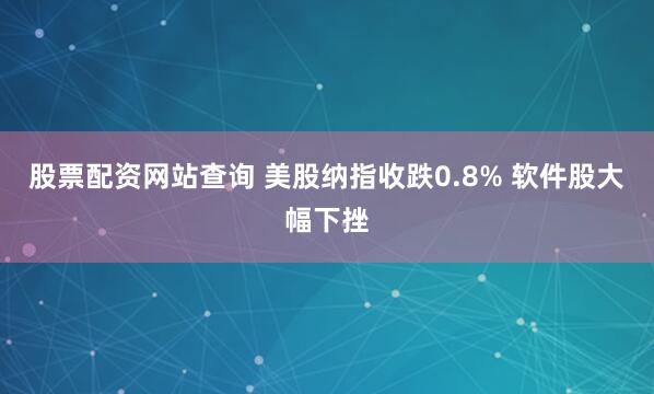 股票配资网站查询 美股纳指收跌0.8% 软件股大幅下挫