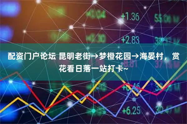 配资门户论坛 昆明老街→梦橙花园→海晏村，赏花看日落一站打卡~